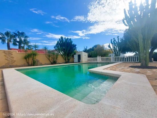 VILLA INDEPENDIENTE CON 1500 M2 DE PARCELA. 4 DORM. 2 BAÑOS. 300 M2 DE CASA. - ALICANTE