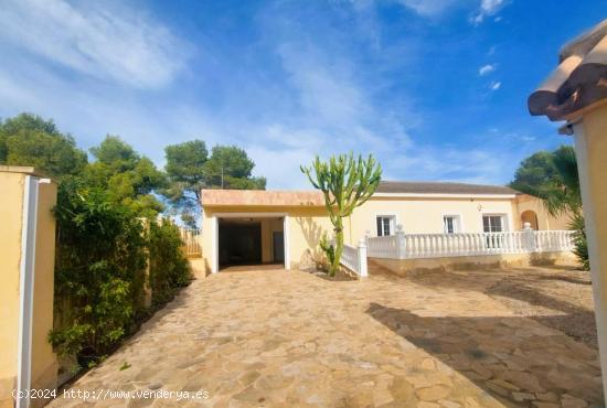 VILLA INDEPENDIENTE CON 1500 M2 DE PARCELA. 4 DORM. 2 BAÑOS. 300 M2 DE CASA. - ALICANTE