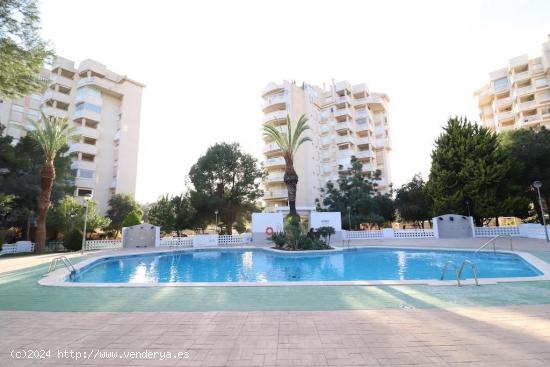 APARTAMENTO CON VISTAS AL MAR! ORIHUELA COSTA (CAMPOAMOR) 3 DOR. 2 BAÑOS. PARKING. PISCINA. - ALICA