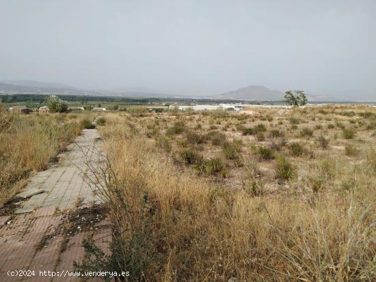 TERRENO DE BANCO EN LÁCHAR!! - GRANADA