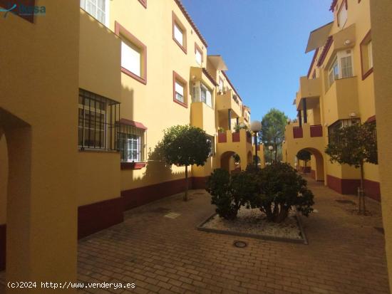 APARTAMENTO EN ALBATROS GOLF I - HUELVA