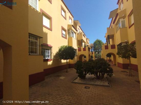 APARTAMENTO EN ALBATROS GOLF I - HUELVA