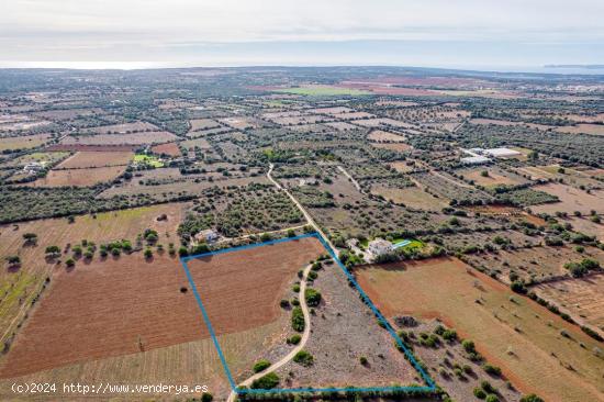 Terreno urbanizable en Ses Salines - BALEARES