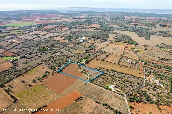 Terreno urbanizable en Ses Salines - BALEARES