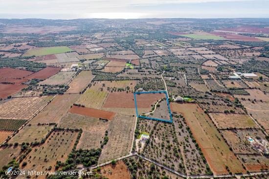 Terreno urbanizable en Ses Salines - BALEARES