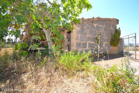 Finca rústica con casa de campo con vistas a la Serra de Tramuntana en Llubi - BALEARES