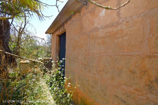 Finca rústica con casa de campo con vistas a la Serra de Tramuntana en Llubi - BALEARES