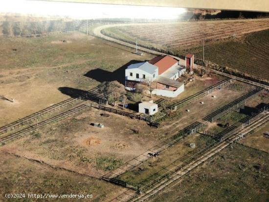  FINCA DE RECREO EN VENTA EN VALORIA LA BUENA - VALLADOLID 