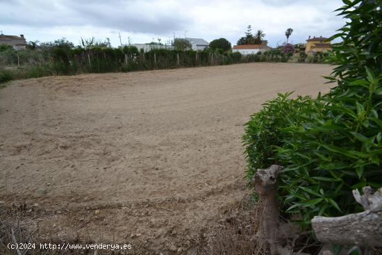 Se Vende en Deltebre - TARRAGONA