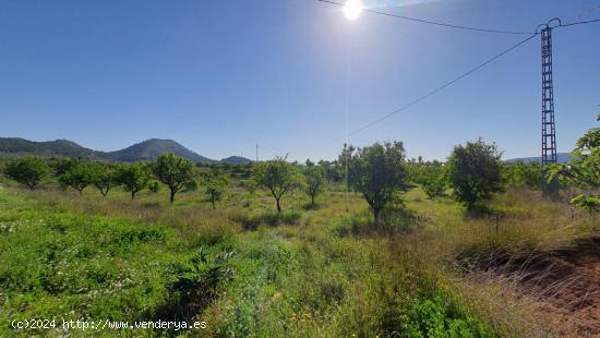 CASOPLON EN EL CAMPO - ALICANTE