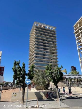 Impresionante planta de oficinas completa, en edificio Torre Godoy. - MURCIA