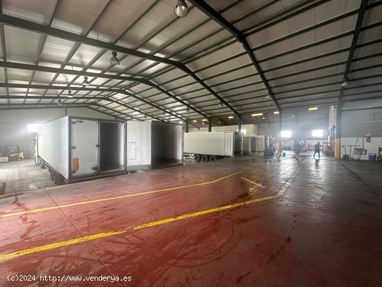 SE VENDE NAVE INDUSTRIAL DE 4000 METROS EN TORREVIEJA - ALICANTE