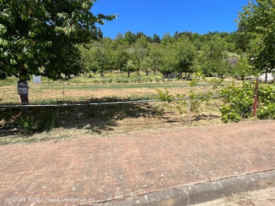 OPORTUNIDAD DE ADQUIRIR UN TERRENO EN UNA DE LAS ZONAS RURALES MAS DEMANDADAS DEL BIERZO - LEON