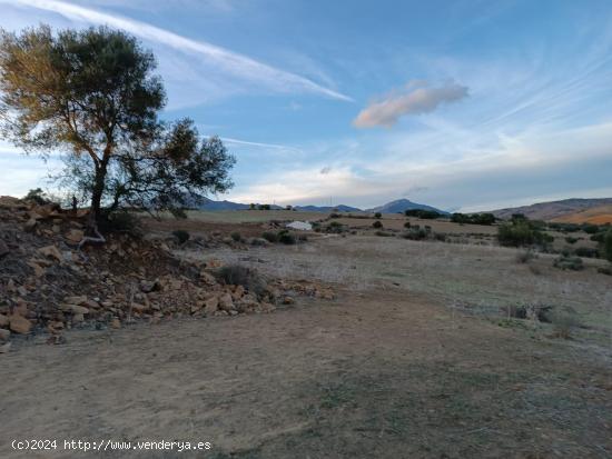 Excelente terreno en Coin. - MALAGA