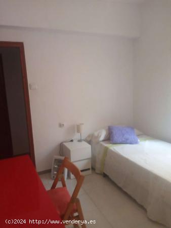 Se alquila habitación en piso de 2 dormitorios en Vistabella, Murcia - MURCIA