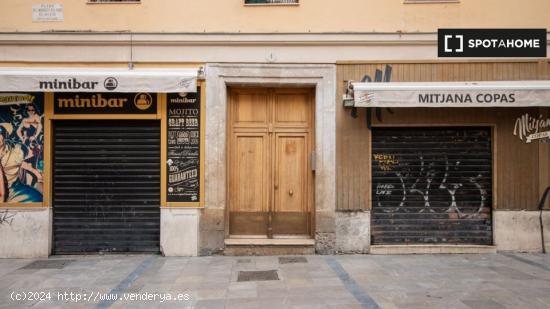 Ático Luminoso Mitjana - MALAGA