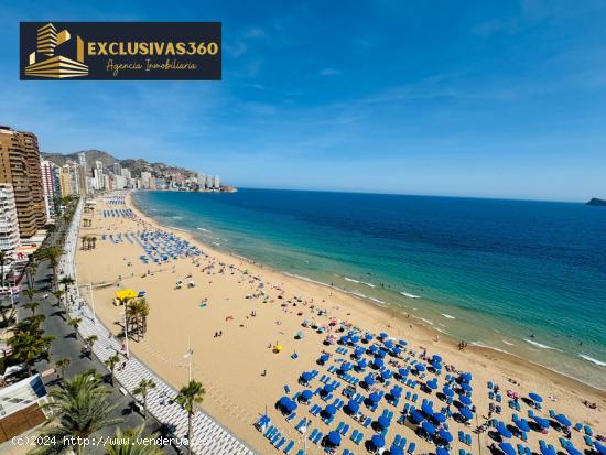 Piso de lujo en primera línea de playa Levante con 3 habitaciones y 2 baños. Exclusivas360 Benidor