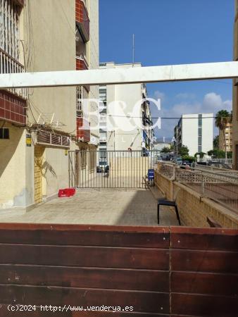 LOCAL COMERCIAL JUNTO AL PASEO DE PARRA - MURCIA