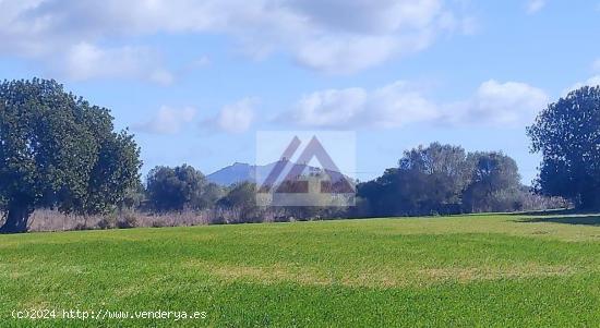 Terreno rústico para construir a pocos minutos de Felanitx - BALEARES