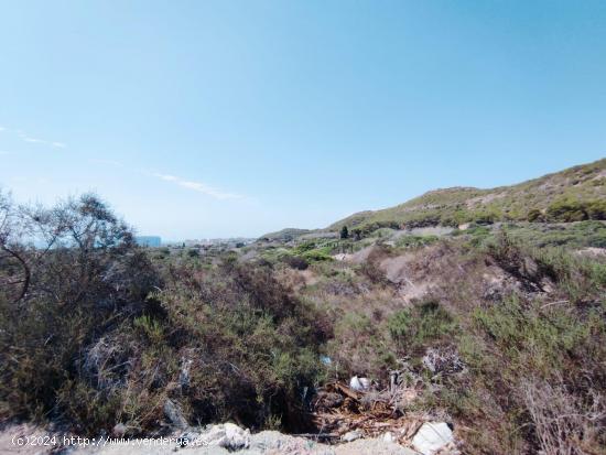 Gran Oportunidad de Parcela en Guardamar Hills, Alicante, Costa Blanca - ALICANTE