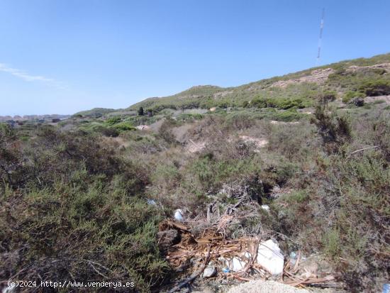 Gran Oportunidad de Parcela en Guardamar Hills, Alicante, Costa Blanca - ALICANTE