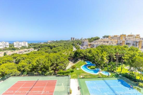 APARTAMENTO DE 2 DORMITORIOS 2 BAÑOS EN CAMPO AMOR (ORIHUELA COSTA) ALICANTE - ALICANTE