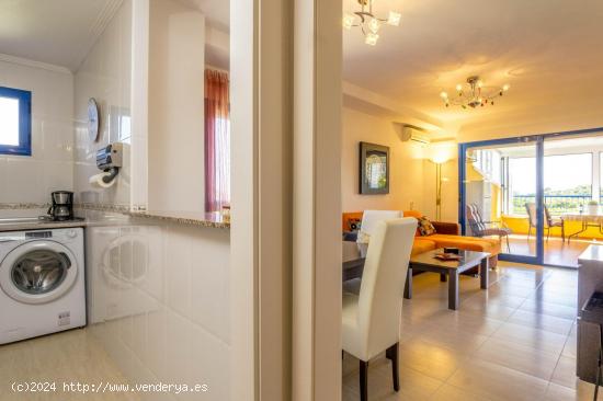 APARTAMENTO DE 2 DORMITORIOS 2 BAÑOS EN CAMPO AMOR (ORIHUELA COSTA) ALICANTE - ALICANTE