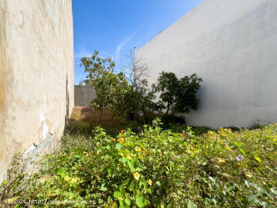 VENTA DE TERRENO URBANO, EN ICOD DE LOS VINOS. - SANTA CRUZ DE TENERIFE