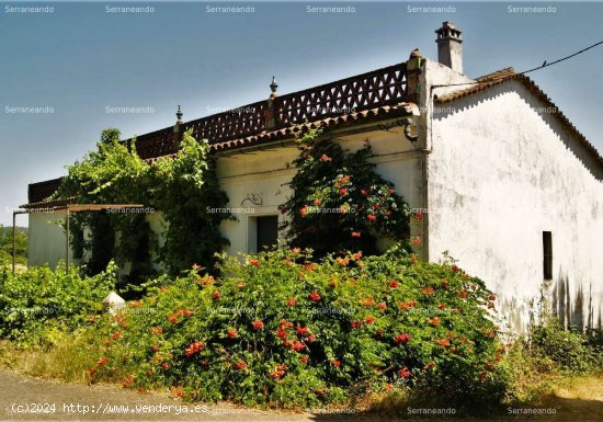 FINCA RÚSTICA EN VENTA EN FUENTEHERIDOS (HUELVA) ESPAÑA. - Fuenteheridos