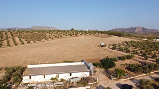 Nave industrial en Traspaso en Burgo, El Málaga