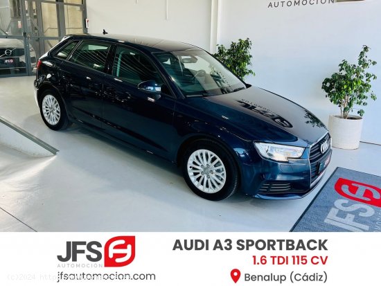 Audi A3 1.6TDI 115 CV - Benalup