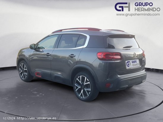 Citroën C5 Aircross FEEL BLUE HDI 130 CV EAT8 - Ponteareas