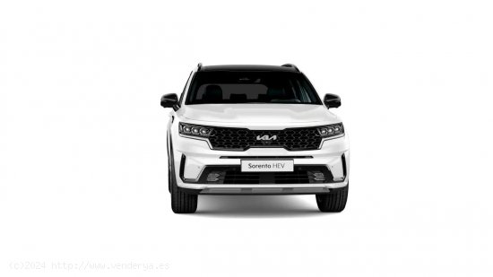 Kia Sorento 1.6 T-GDi HEV Drive 4x2 7pl - Ourense