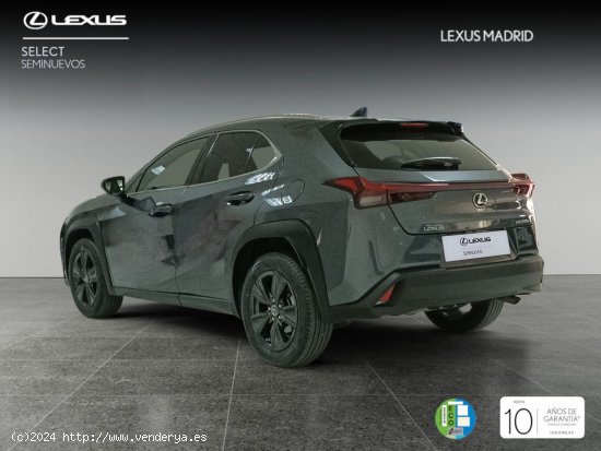 Lexus UX 2.0 250h Premium - Madrid