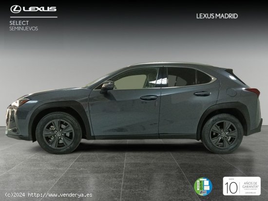 Lexus UX 2.0 250h Premium - Madrid