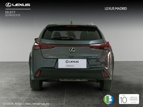 Lexus UX 2.0 250h Premium - Madrid