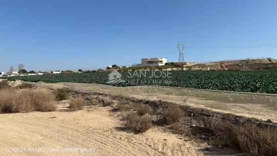 SE VENDE PARCELA URBANIZABLE EN LA MARINA-ELCHE - ALICANTE