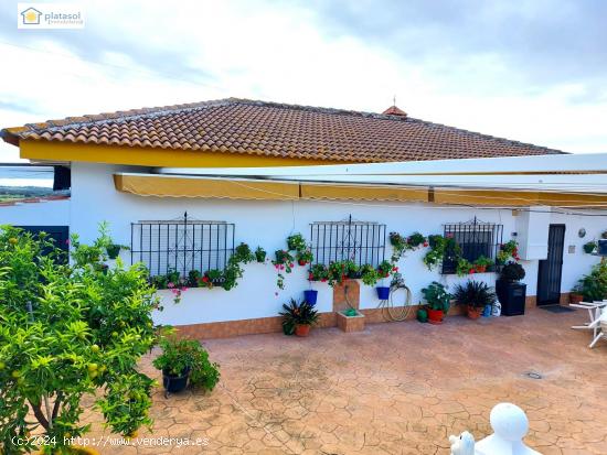 Chalet con piscina en plena sierra de Sevilla - SEVILLA