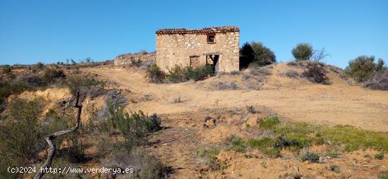 OPORTUNIDAD GRAN FINCA RUSTICA DE SEMBRADURA DE 8,2 HAS. EN LA TORRE DE L´ESPANYOL - TARRAGONA