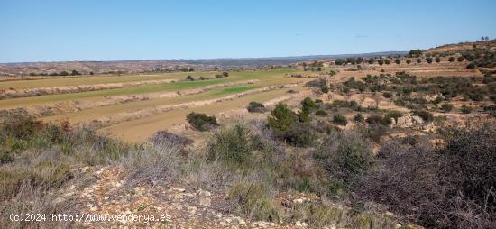 OPORTUNIDAD GRAN FINCA RUSTICA DE SEMBRADURA DE 8,2 HAS. EN LA TORRE DE L´ESPANYOL - TARRAGONA