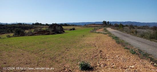 OPORTUNIDAD GRAN FINCA RUSTICA DE SEMBRADURA DE 8,2 HAS. EN LA TORRE DE L´ESPANYOL - TARRAGONA