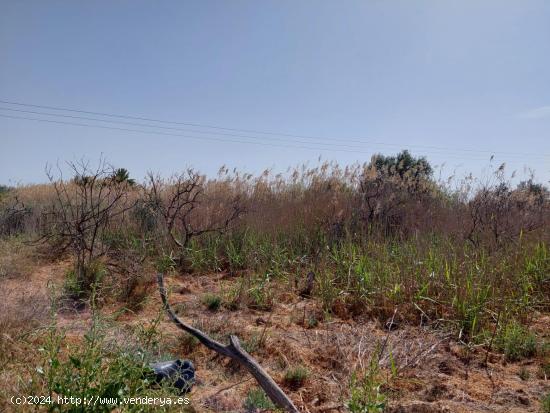 Terreno Rustico en ALQUERIAS - MURCIA