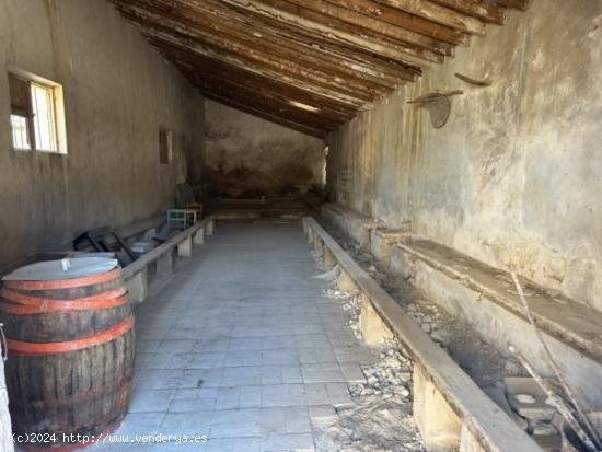 Bodega antigua - ALICANTE