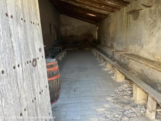 Bodega antigua - ALICANTE