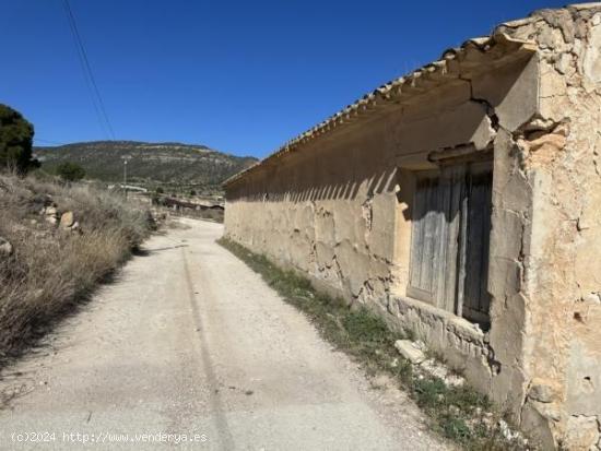 Bodega antigua - ALICANTE