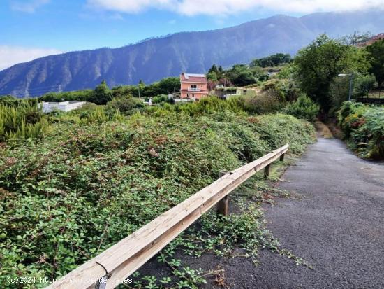 TERRENO RUSTICO EN AGUAMANSA - SANTA CRUZ DE TENERIFE