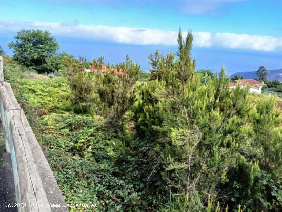 TERRENO RUSTICO EN AGUAMANSA - SANTA CRUZ DE TENERIFE