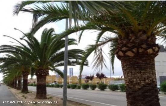  ASPE EN AVENIDA DE ELCHE SOLAR URBANO ACTUALMENTE NAVE SE PUEDE CONSTRUIR VIVIENDAS - ALICANTE 