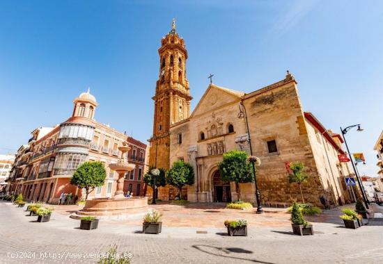 Alquiler de local de 18 m2  en plaza San Sebastián - MALAGA