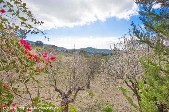 ENCANTADORA CASA DE PUEBLO EN CALVIA CENTRO CON VISTAS DESPEJADAS - BALEARES